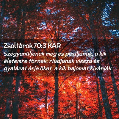 Picture 02 - Zsoltárok 70:3 KAR - Szégyenüljenek meg és piruljanak, a kik - Bible Verse Picture