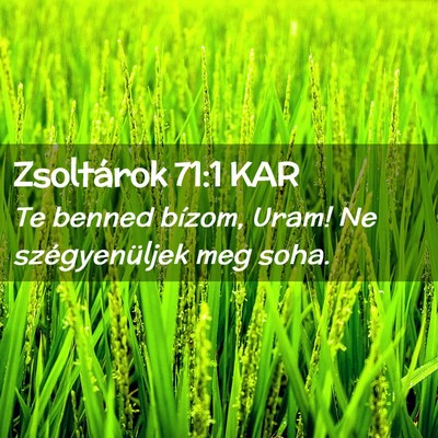 Picture 02 - Zsoltárok 71:1 KAR - Te benned bízom, Uram! Ne szégyenüljek meg - Bible Verse Picture