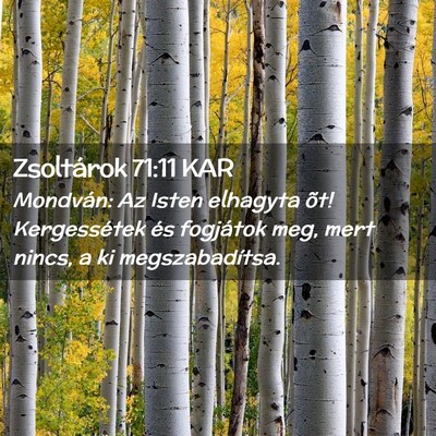 Picture 02 - Zsoltárok 71:11 KAR - Mondván: Az Isten elhagyta õt! Kergessétek és - Bible Verse Picture