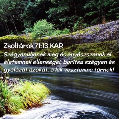 Picture 02 - Zsoltárok 71:13 KAR - Szégyenüljenek meg és enyészszenek el - Bible Verse Picture