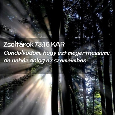 Picture 02 - Zsoltárok 73:16 KAR - Gondolkodom, hogy ezt megérthessem; de nehéz - Bible Verse Picture
