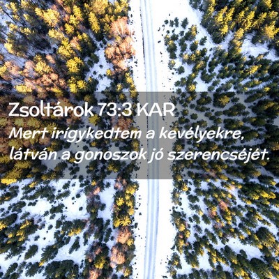 Picture 02 - Zsoltárok 73:3 KAR - Mert irígykedtem a kevélyekre, látván a - Bible Verse Picture