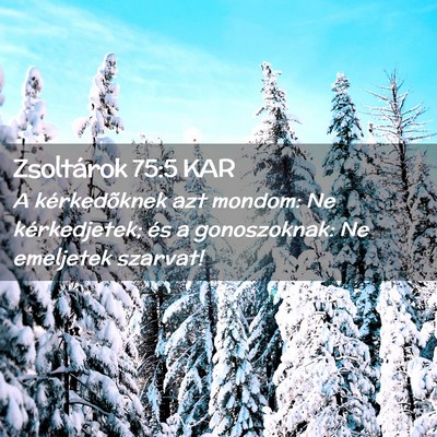 Picture 02 - Zsoltárok 75:5 KAR - A kérkedõknek azt mondom: Ne kérkedjetek; és - Bible Verse Picture
