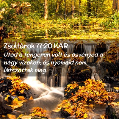 Picture 02 - Zsoltárok 77:20 KAR - Utad a tengeren volt és ösvényed a nagy - Bible Verse Picture