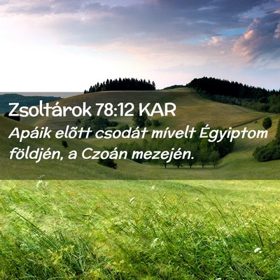 Picture 02 - Zsoltárok 78:12 KAR - Apáik elõtt csodát mívelt Égyiptom - Bible Verse Picture