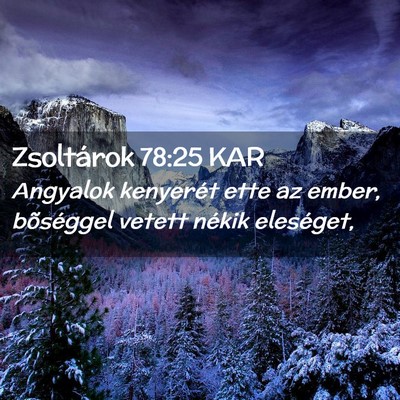 Picture 02 - Zsoltárok 78:25 KAR - Angyalok kenyerét ette az ember, bõséggel - Bible Verse Picture
