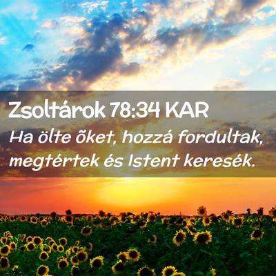 Picture 02 - Zsoltárok 78:34 KAR - Ha ölte õket, hozzá fordultak, megtértek és - Bible Verse Picture