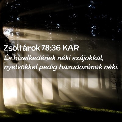 Picture 02 - Zsoltárok 78:36 KAR - És hízelkedének néki szájokkal, nyelvökkel - Bible Verse Picture