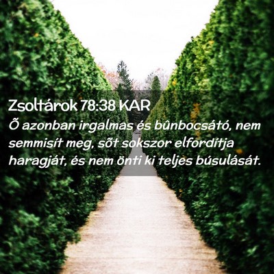 Picture 02 - Zsoltárok 78:38 KAR - Õ azonban irgalmas és bûnbocsátó, nem - Bible Verse Picture