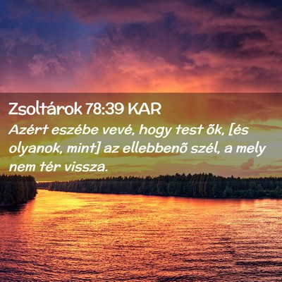 Picture 02 - Zsoltárok 78:39 KAR - Azért eszébe vevé, hogy test õk, [és - Bible Verse Picture