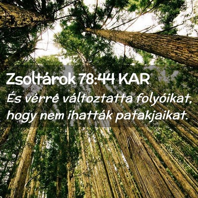 Picture 02 - Zsoltárok 78:44 KAR - És vérré változtatta folyóikat, hogy nem - Bible Verse Picture