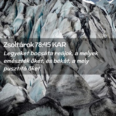 Picture 02 - Zsoltárok 78:45 KAR - Legyeket bocsáta reájok, a melyek emészték - Bible Verse Picture