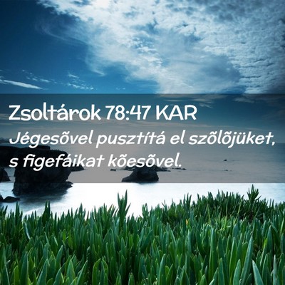 Picture 02 - Zsoltárok 78:47 KAR - Jégesõvel pusztítá el szõlõjüket, s - Bible Verse Picture