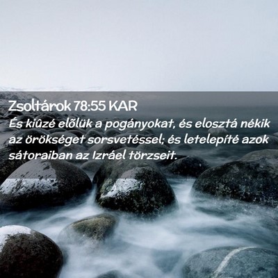 Picture 02 - Zsoltárok 78:55 KAR - És kiûzé elõlük a pogányokat, és elosztá - Bible Verse Picture