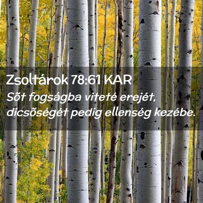 Picture 02 - Zsoltárok 78:61 KAR - Sõt fogságba viteté erejét, dicsõségét - Bible Verse Picture