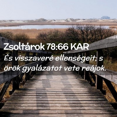Picture 02 - Zsoltárok 78:66 KAR - És visszaveré ellenségeit; s örök - Bible Verse Picture