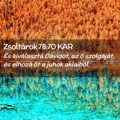 Picture 02 - Zsoltárok 78:70 KAR - És kiválasztá Dávidot, az õ szolgáját, és - Bible Verse Picture