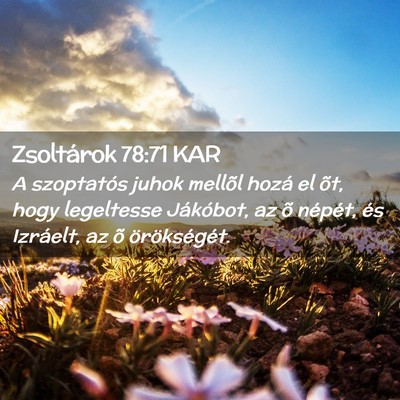 Picture 02 - Zsoltárok 78:71 KAR - A szoptatós juhok mellõl hozá el õt, hogy - Bible Verse Picture