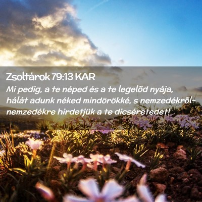 Picture 02 - Zsoltárok 79:13 KAR - Mi pedig, a te néped és a te legelõd nyája, - Bible Verse Picture