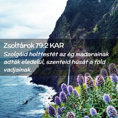 Picture 02 - Zsoltárok 79:2 KAR - Szolgáid holttestét az ég madarainak adták - Bible Verse Picture