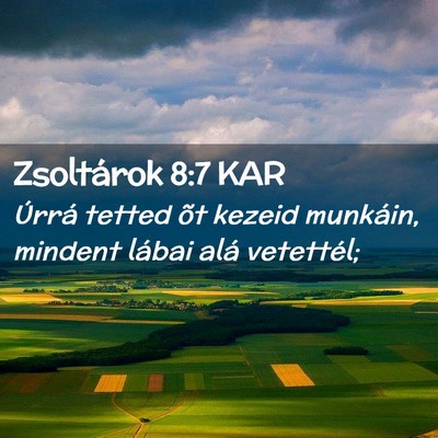 Picture 02 - Zsoltárok 8:7 KAR - Úrrá tetted õt kezeid munkáin, mindent lábai - Bible Verse Picture