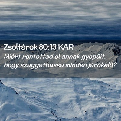 Picture 02 - Zsoltárok 80:13 KAR - Miért rontottad el annak gyepûit, hogy - Bible Verse Picture