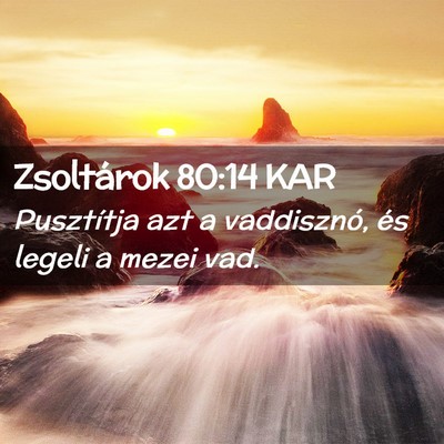 Picture 02 - Zsoltárok 80:14 KAR - Pusztítja azt a vaddisznó, és legeli a mezei - Bible Verse Picture
