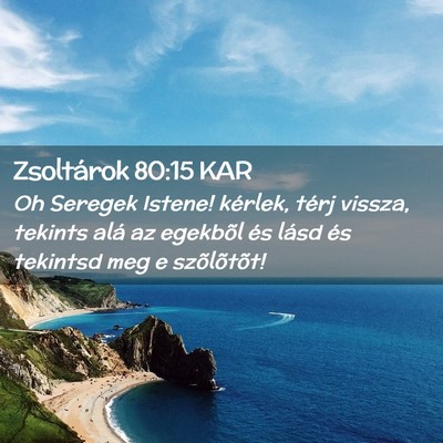 Picture 02 - Zsoltárok 80:15 KAR - Oh Seregek Istene! kérlek, térj vissza, tekints - Bible Verse Picture
