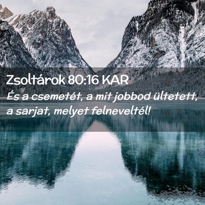 Picture 02 - Zsoltárok 80:16 KAR - És a csemetét, a mit jobbod ültetett, a - Bible Verse Picture