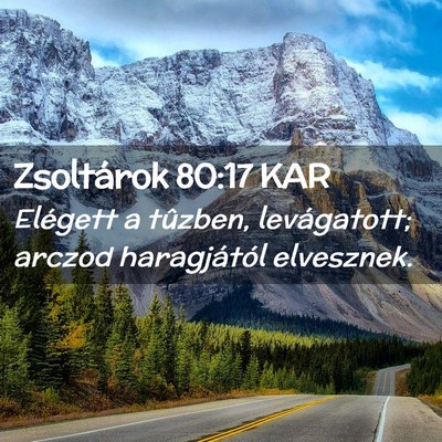 Picture 02 - Zsoltárok 80:17 KAR - Elégett a tûzben, levágatott; arczod - Bible Verse Picture