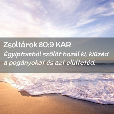 Picture 02 - Zsoltárok 80:9 KAR - Égyiptomból szõlõt hozál ki, kiûzéd a - Bible Verse Picture