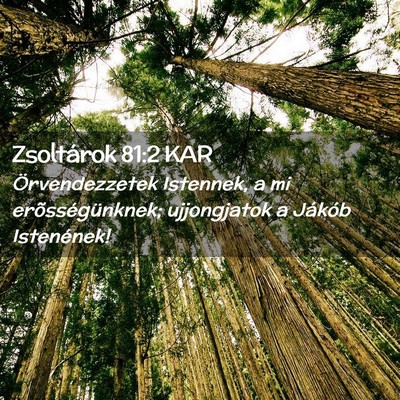 Picture 02 - Zsoltárok 81:2 KAR - Örvendezzetek Istennek, a mi erõsségünknek; - Bible Verse Picture