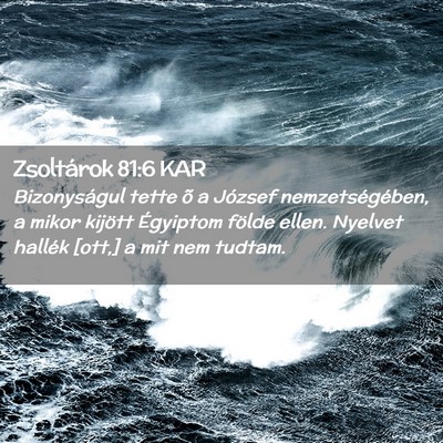 Picture 02 - Zsoltárok 81:6 KAR - Bizonyságul tette õ a József nemzetségében, - Bible Verse Picture