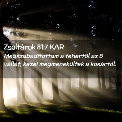 Picture 02 - Zsoltárok 81:7 KAR - Megszabadítottam a tehertõl az õ vállát, - Bible Verse Picture