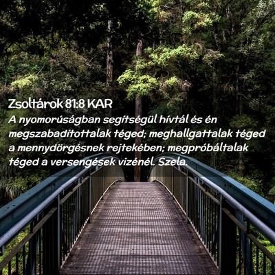 Picture 02 - Zsoltárok 81:8 KAR - A nyomorúságban segítségül hívtál és én - Bible Verse Picture
