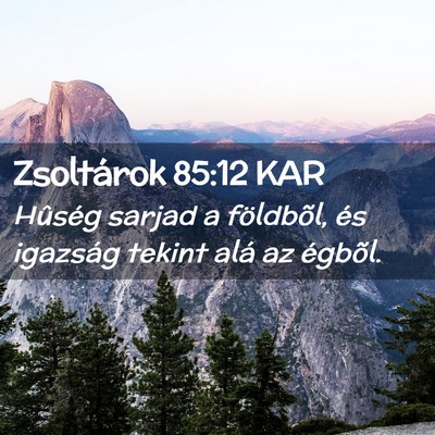 Picture 02 - Zsoltárok 85:12 KAR - Hûség sarjad a földbõl, és igazság tekint - Bible Verse Picture