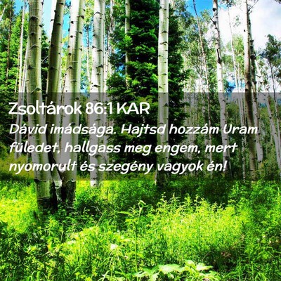 Picture 02 - Zsoltárok 86:1 KAR - Dávid imádsága. Hajtsd hozzám Uram füledet, - Bible Verse Picture