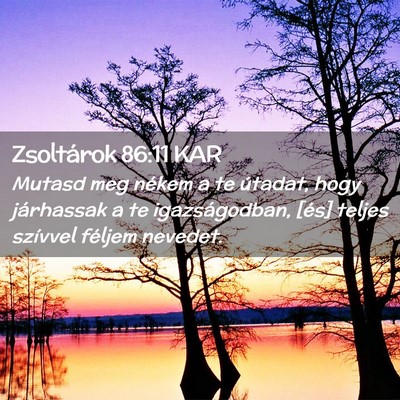 Picture 02 - Zsoltárok 86:11 KAR - Mutasd meg nékem a te útadat, hogy járhassak a - Bible Verse Picture