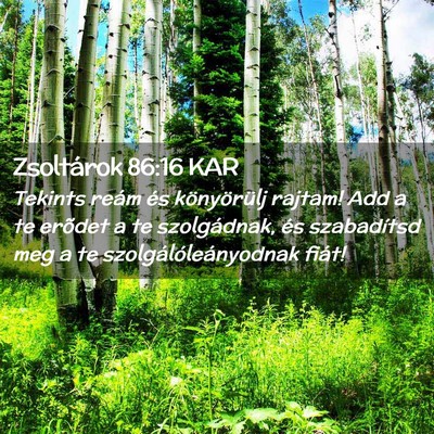 Picture 02 - Zsoltárok 86:16 KAR - Tekints reám és könyörülj rajtam! Add a te - Bible Verse Picture