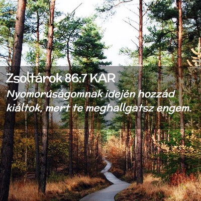 Picture 02 - Zsoltárok 86:7 KAR - Nyomorúságomnak idején hozzád kiáltok, mert - Bible Verse Picture