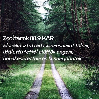 Picture 02 - Zsoltárok 88:9 KAR - Elszakasztottad ismerõseimet tõlem, útálattá - Bible Verse Picture