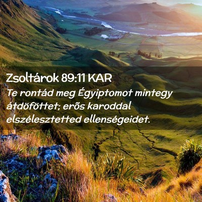 Picture 02 - Zsoltárok 89:11 KAR - Te rontád meg Égyiptomot mintegy átdöföttet; - Bible Verse Picture