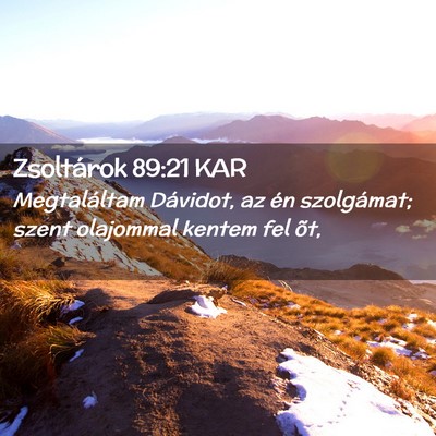 Picture 02 - Zsoltárok 89:21 KAR - Megtaláltam Dávidot, az én szolgámat; szent - Bible Verse Picture