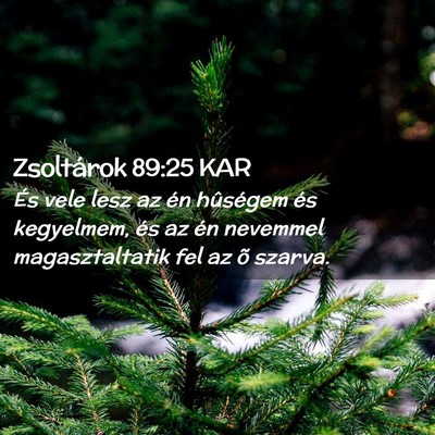 Picture 02 - Zsoltárok 89:25 KAR - És vele lesz az én hûségem és kegyelmem, és - Bible Verse Picture