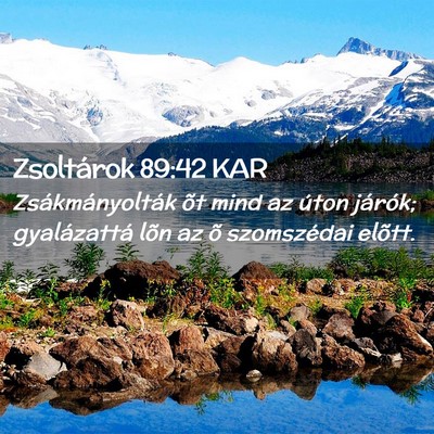 Picture 02 - Zsoltárok 89:42 KAR - Zsákmányolták õt mind az úton járók; - Bible Verse Picture