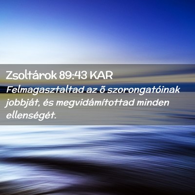 Picture 02 - Zsoltárok 89:43 KAR - Felmagasztaltad az õ szorongatóinak jobbját, - Bible Verse Picture