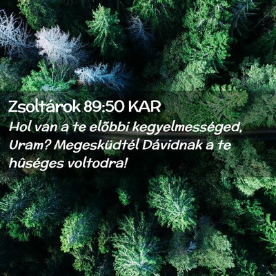 Picture 02 - Zsoltárok 89:50 KAR - Hol van a te elõbbi kegyelmességed, Uram? - Bible Verse Picture