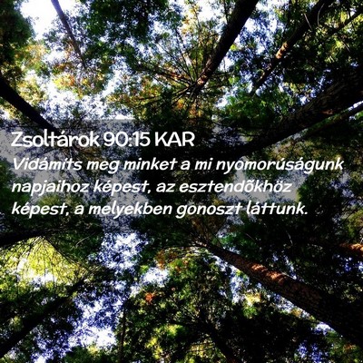 Picture 02 - Zsoltárok 90:15 KAR - Vidámíts meg minket a mi nyomorúságunk - Bible Verse Picture