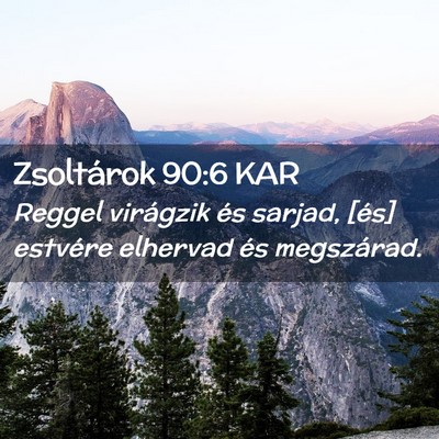 Picture 02 - Zsoltárok 90:6 KAR - Reggel virágzik és sarjad, [és] estvére - Bible Verse Picture