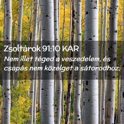 Picture 02 - Zsoltárok 91:10 KAR - Nem illet téged a veszedelem, és csapás nem - Bible Verse Picture